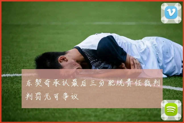 东契奇承认最后三分犯规责任裁判判罚无可争议